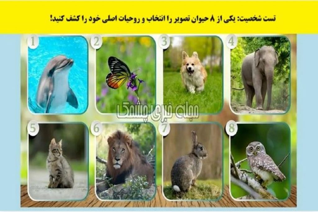 تست شخصیت شناسی