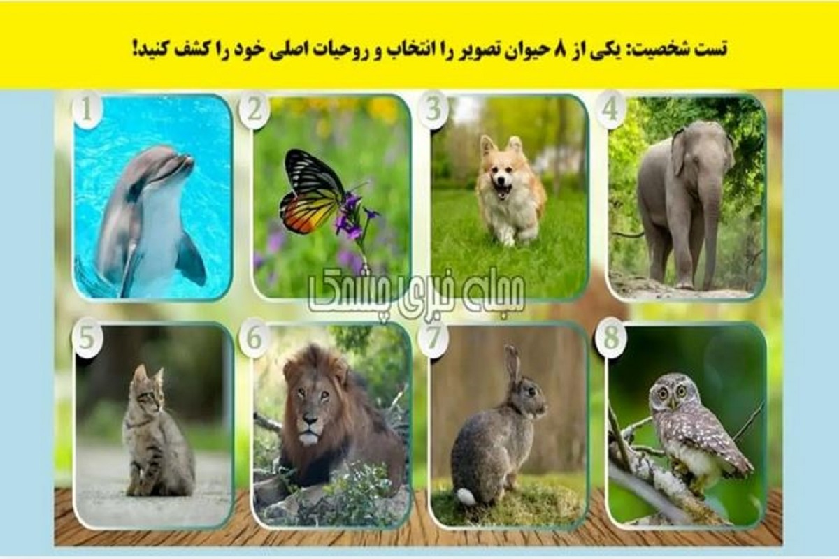 تست شخصیت شناسی