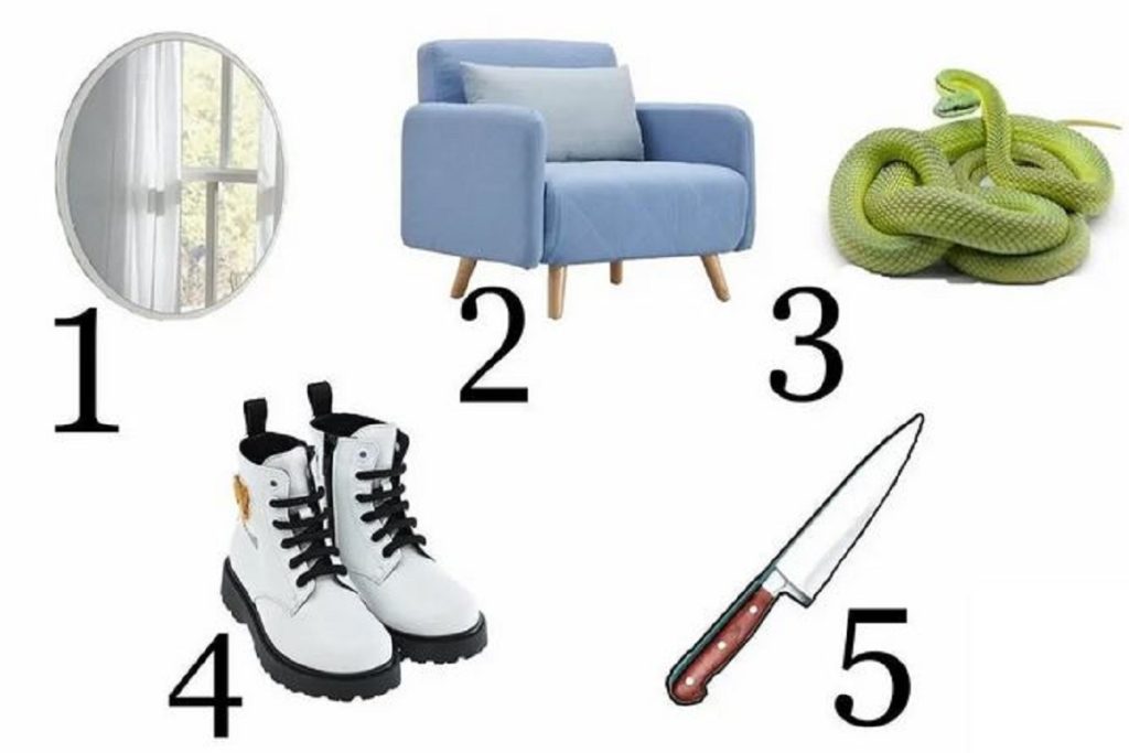 تست شخصیت شناسی