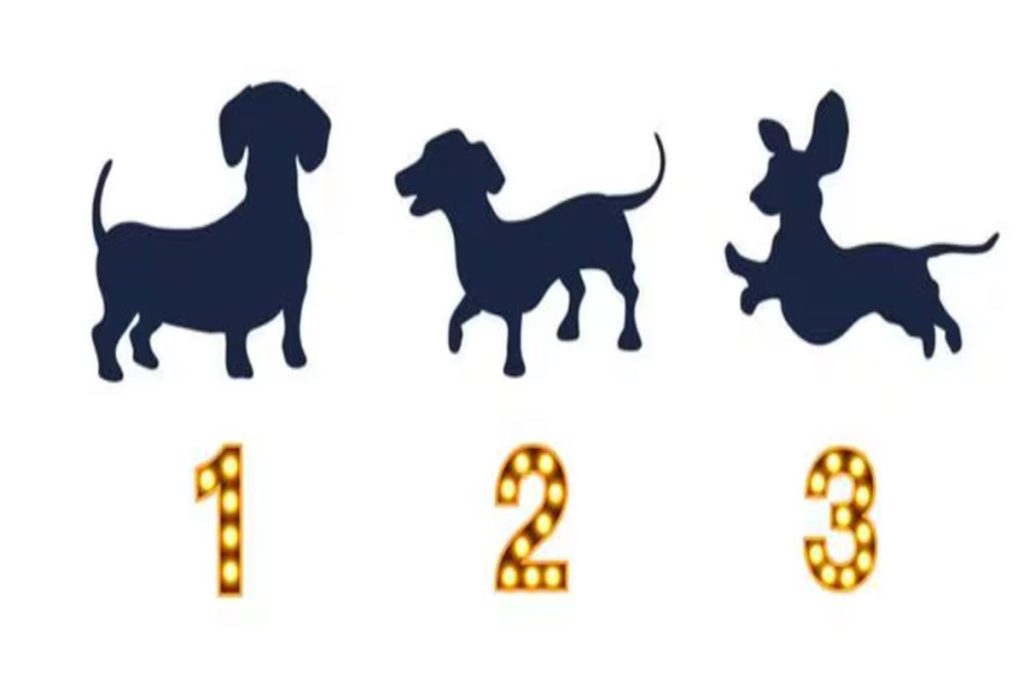 تست شخصیت شناسی