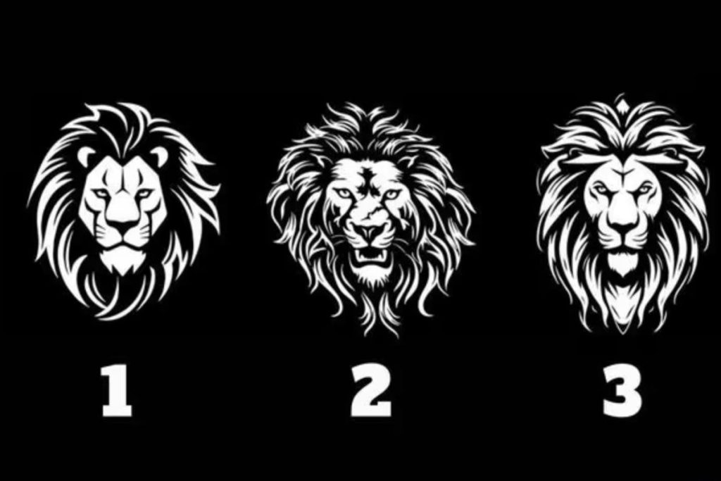 تست شخصیت شناسی