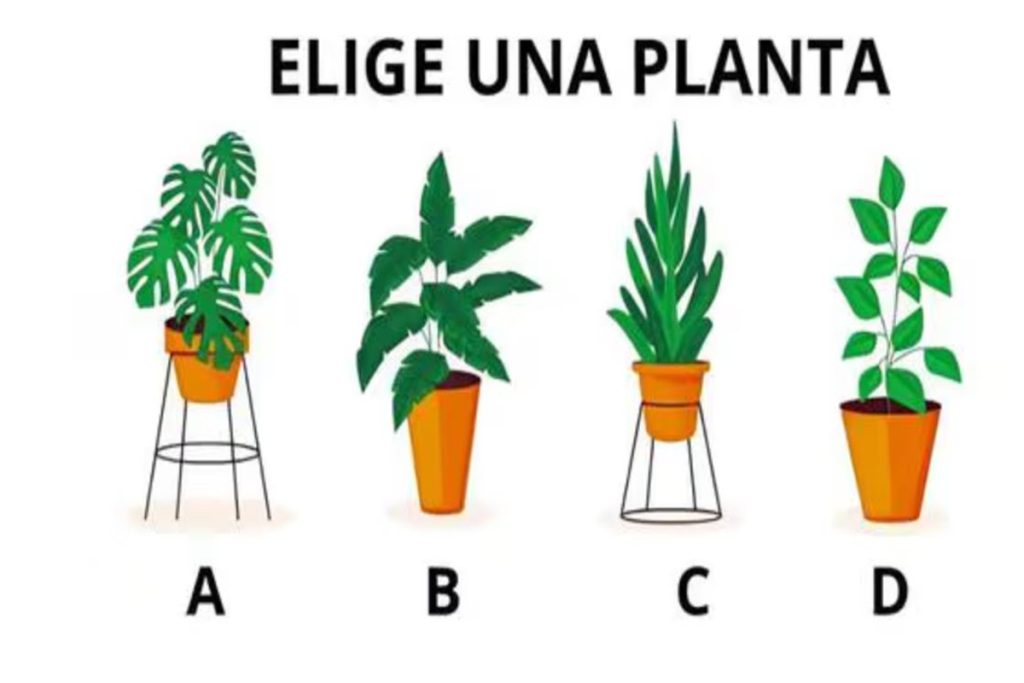 تست شخصیت شناسی