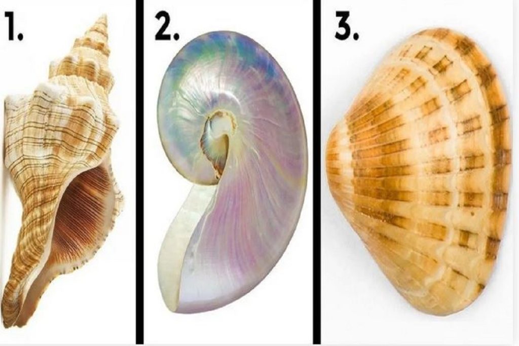 تست شخصیت شناسی