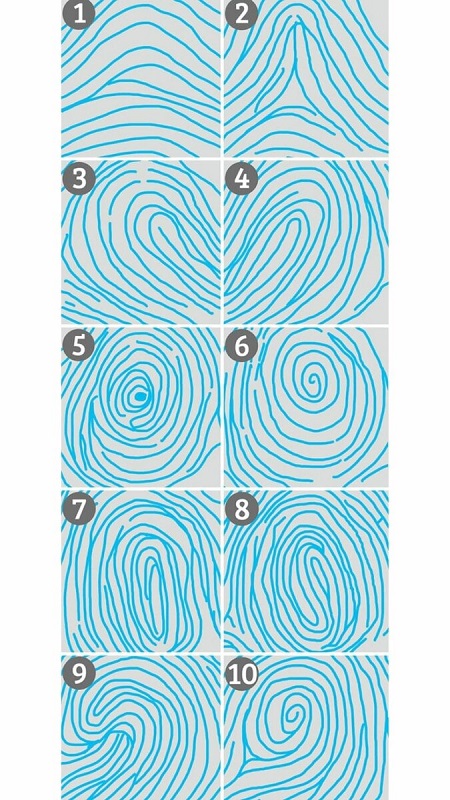 تست شخصیت شناسی