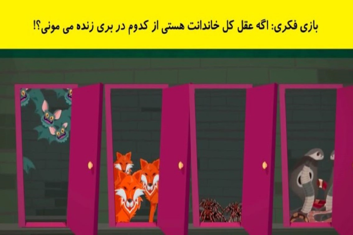 تست هوش