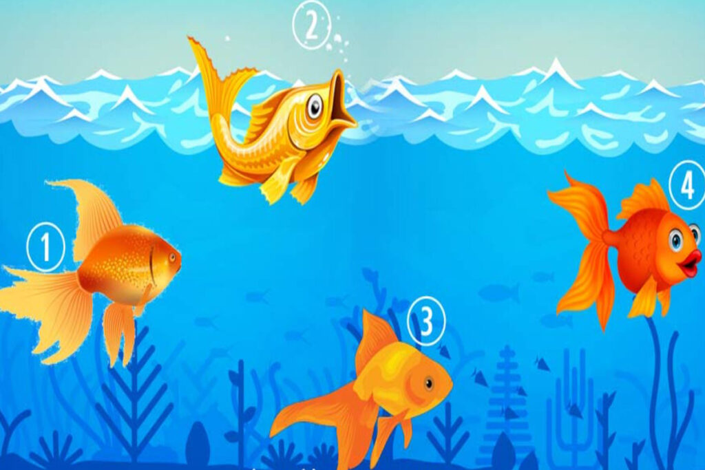 تست شخصیت شناسی