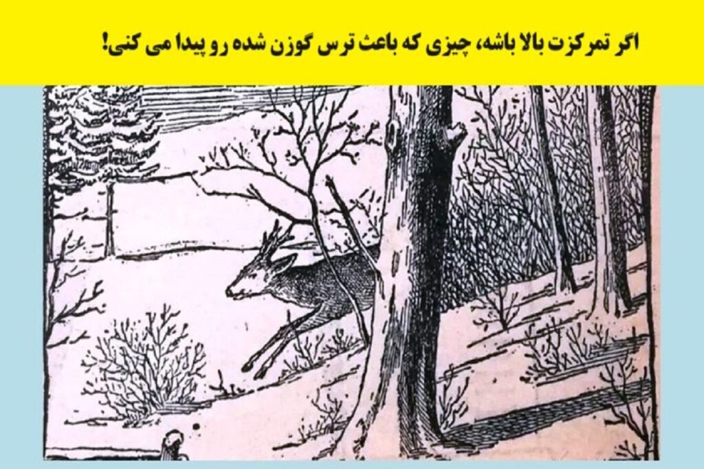 تست تمرکز / بگو دلیل ترس گوزن چیه تا بگم چقدر آشفتهای!