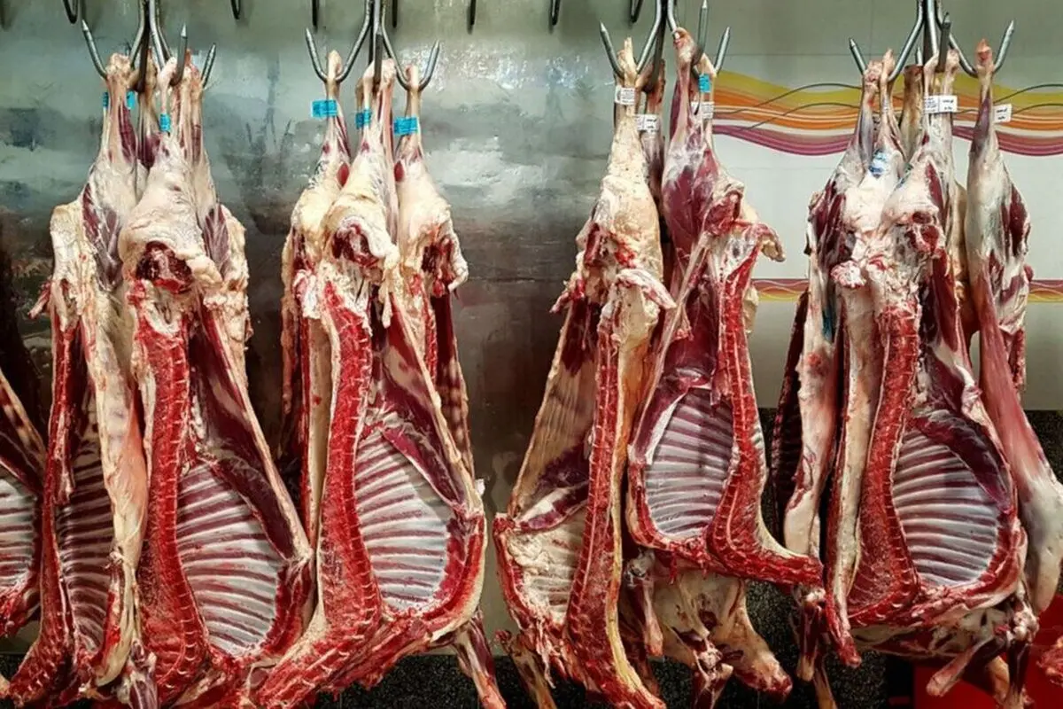 گوشت