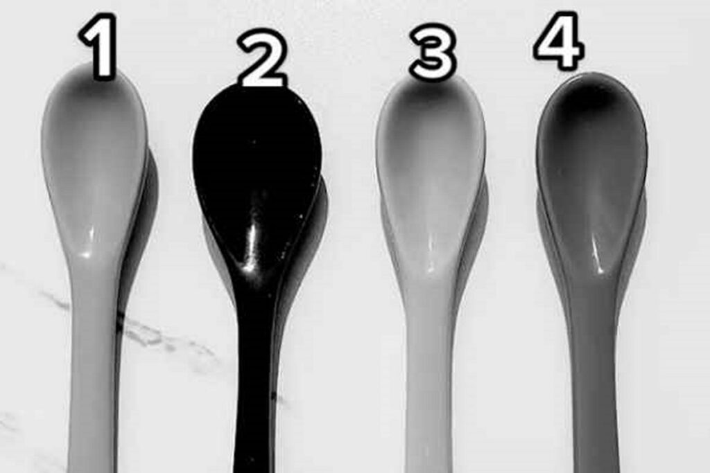 تست هوش / اگر قاشق قرمز را پیدا کنید، جزو ۵ درصد برتر ضریب هوشی هستید!