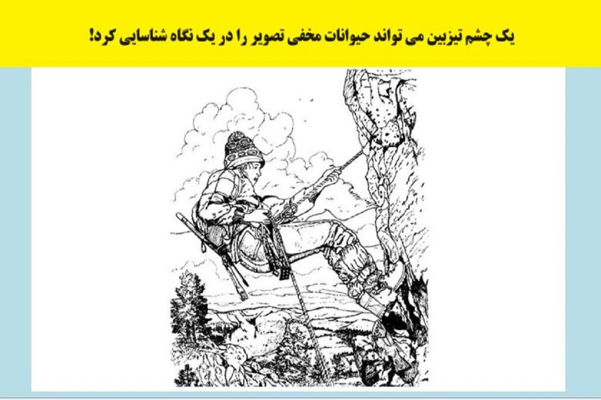 تست تمرکز
