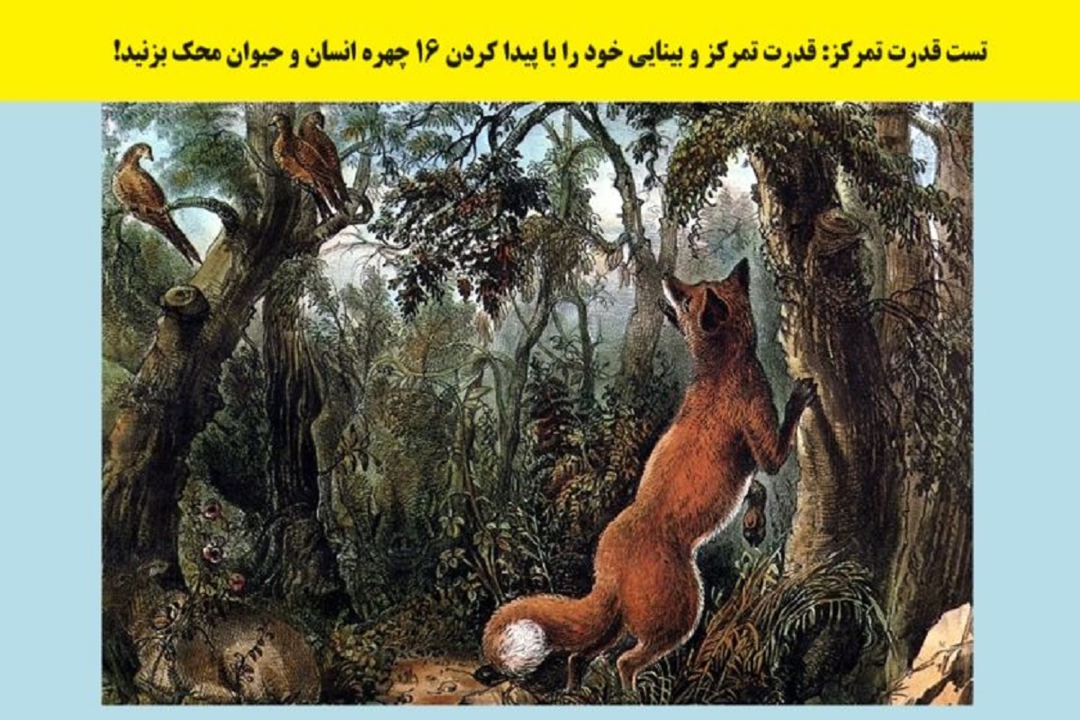 تست تمرکز