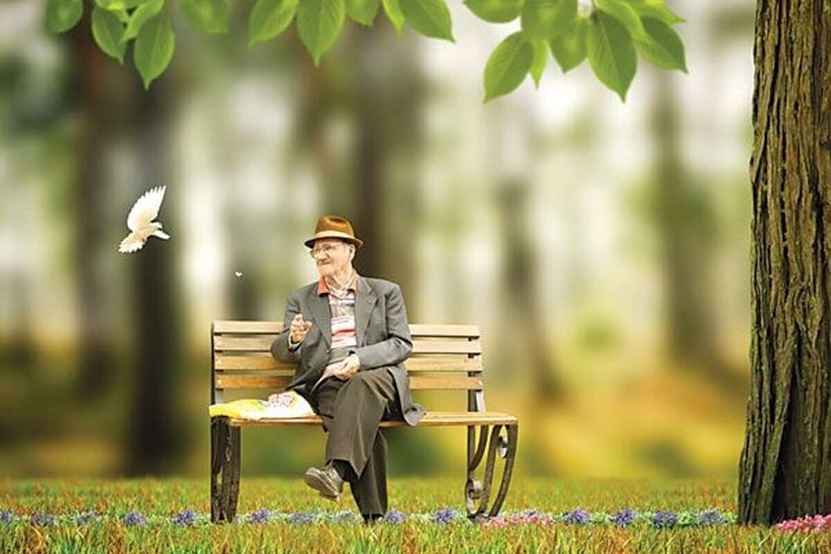 بازنشسته ۴