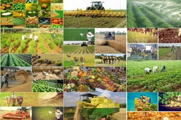تصویب مجوز شهرک زنجیره ارزش تولیدات کشاورزی در هیات مقررات زدایی