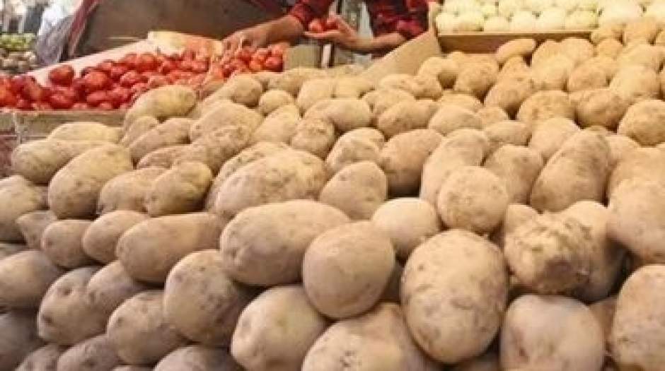 رئیس اتحادیه کشاورزی قیمت سیب زمینی با توقف صادرات متعادل شد