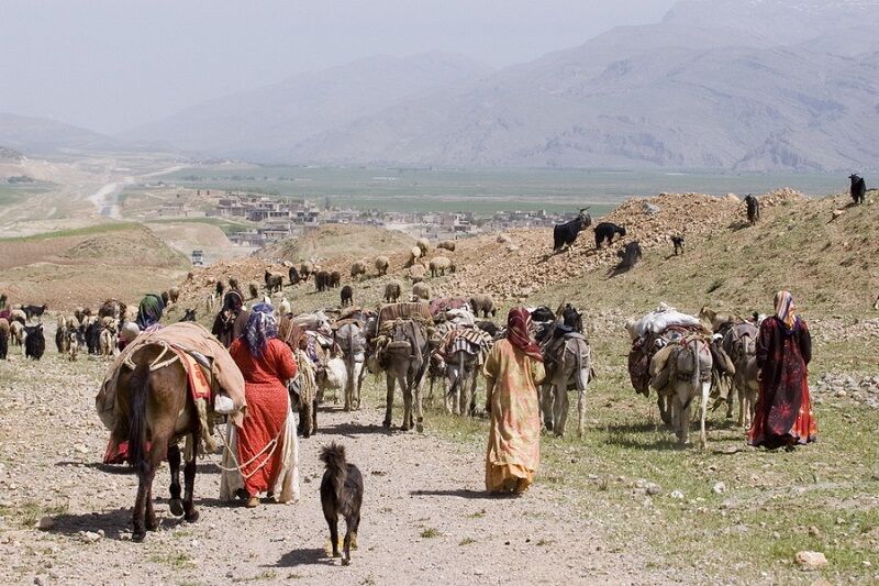 رشد ۱۲ درصدی بیمه شدگان صندوق بیمه اجتماعی کشاورزان در همدان