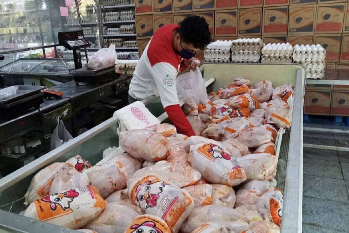 قیمت مرغ