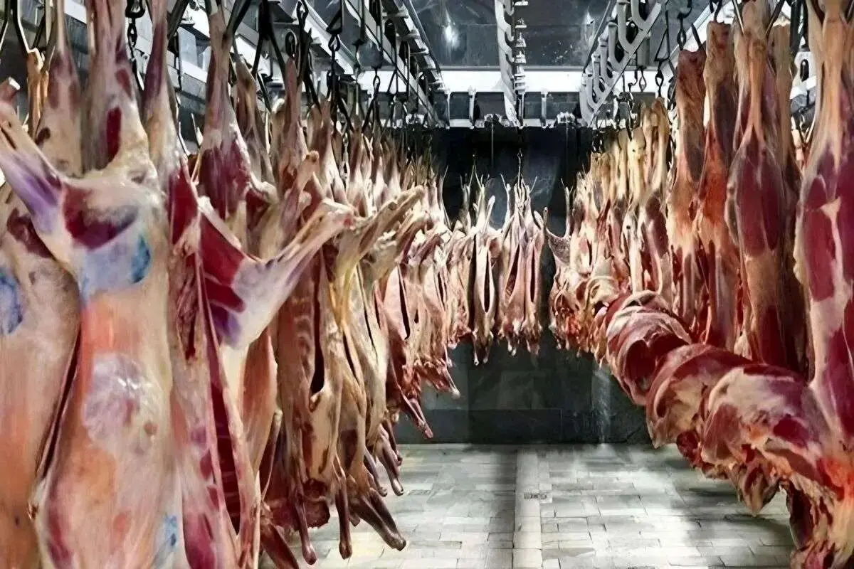 قیمت گوشت قرمز امروز ۲۷ شهریور ثبات در بازار و نرخ ها