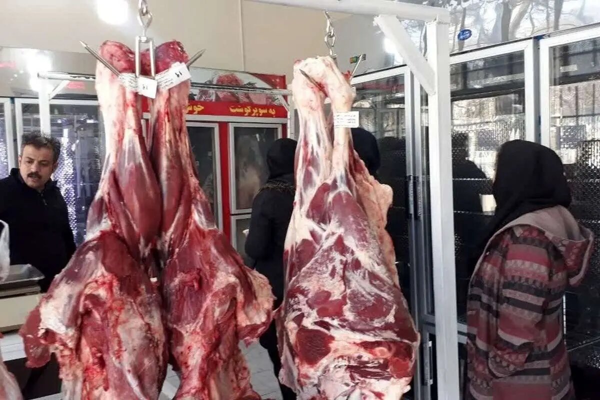 قیمت گوشت گوساله و گوسفند امروز ۲۸ شهریور ثابت ماند