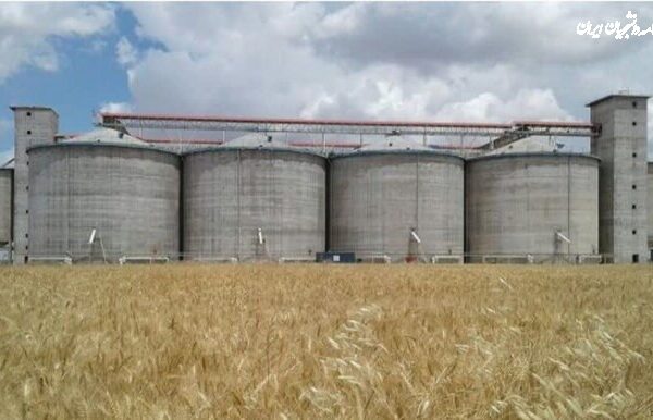 پرداخت ۱۰۰ همت از مطالبات گندم کاران تا یک هفته آینده