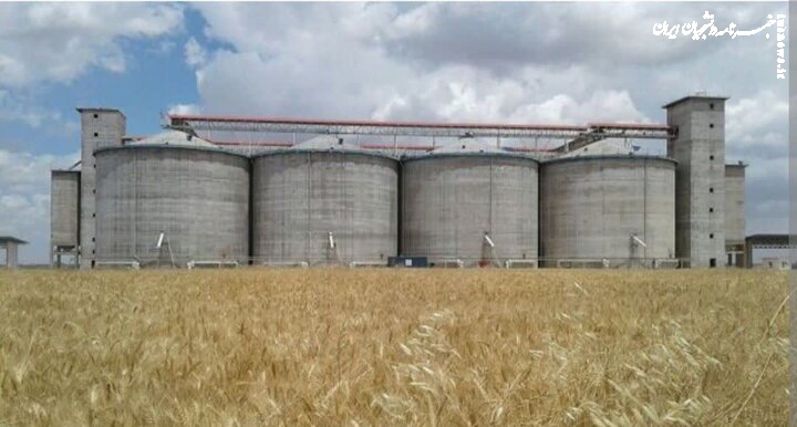 پرداخت ۱۰۰ همت از مطالبات گندم کاران تا یک هفته آینده
