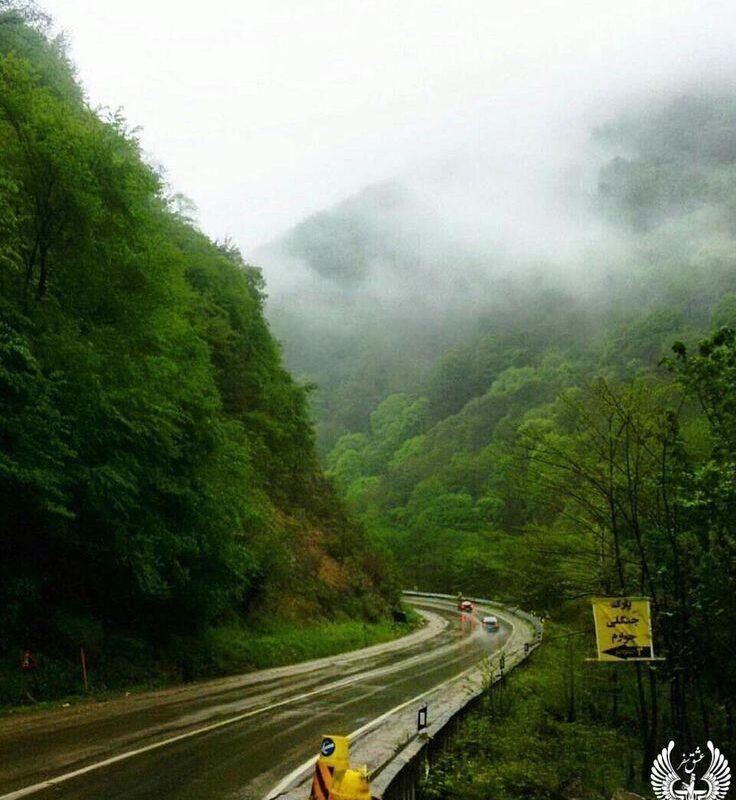 هواشناسی